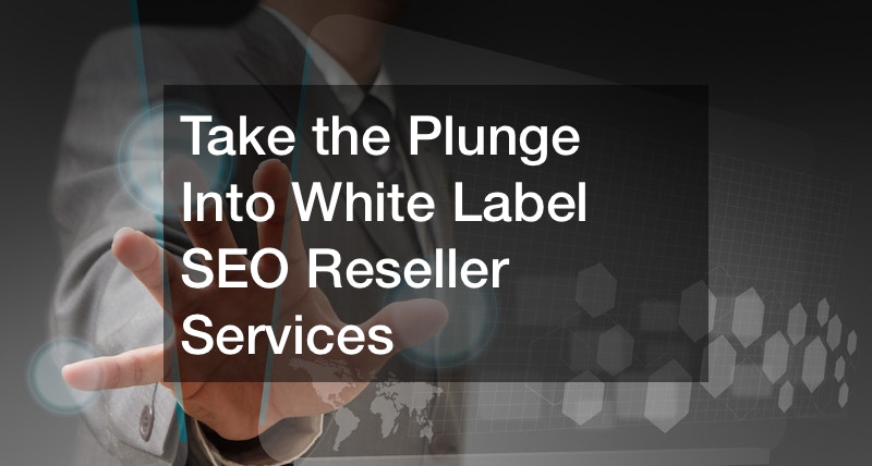 White Label SEO Reseller Services India - SEONerds Digital